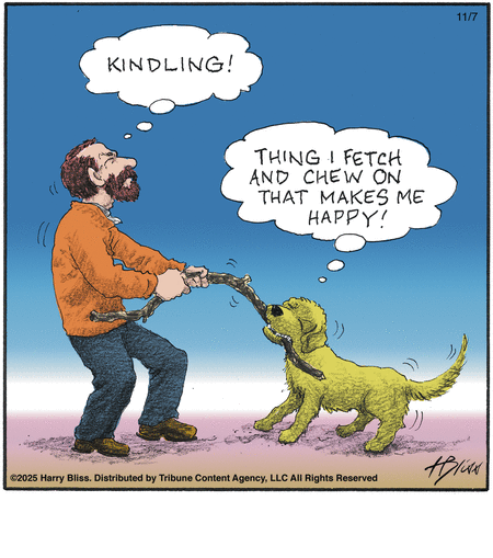 Today's Bliss is missing.