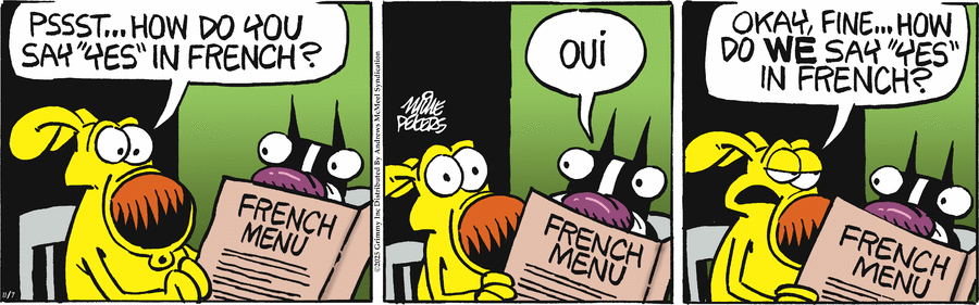 Today's Mother Goose & Grimm is missing.