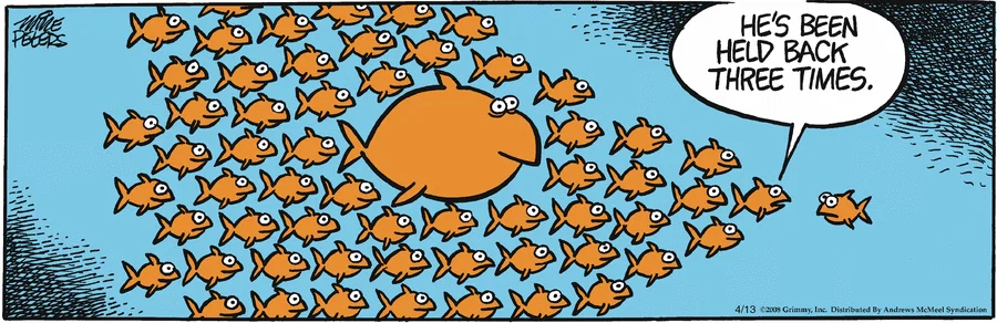 Today's Mother Goose & Grimm is missing.