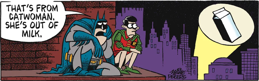 Today's Mother Goose & Grimm is missing.