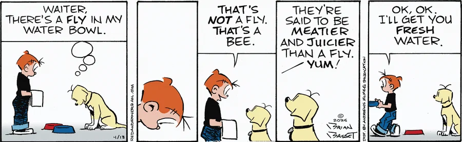 Today's Red & Rover is missing.